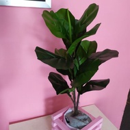 Pokok fig fiddle Artificial gred A, pokok hiasan