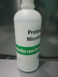 Jual Culture Lactobacillus casei