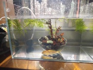 金魚缸，玻璃魚缸，增氧氣泵2個