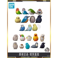 [Permainan Ajaib] Bandai Pegang Tangan Kawan Kecil Yang Comel Patung Burung Burung Hantu Burung Beo 