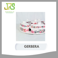 ADAMAS ชุดจานเมลามีน (มอก.) GERBERA