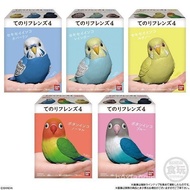 Ready Stock Box Eggs Palm Birds 4 Cute Friends Ornaments Parrot Owls Crows
