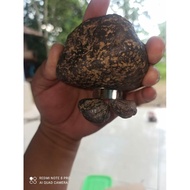 Banten Kursani Iron Badar Stone (N)