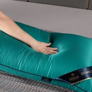 1000g/1kg MEMORY FOAM BANTAL HILTON GEBU PLAIN PELBAGAI WARNA