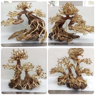 Bonsai Driftwood Bonsai Tree Bonsai Wood M 23-26cm