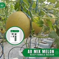 Resep AB Mix Melon Formula Racikan Nutrisi AB Mix Melon