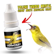 DOPING PLECI | DOPING BURUNG PLECI DOSIS TINGGI