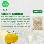 ( 5 Butir ) Benih Biji Melon Golden | Melon Emas | Melon Kuning