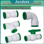 Ayo Connector PPR Water pipe Valve Gate DN15 DN20 Equipment Door fitting