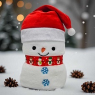 Fluffy Christmas Blanket