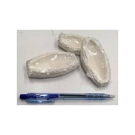 Oceans Wonders Clam Base 3.5"