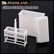 2 in 1 24 Slots Microscope Slides Staining Rack / Slides Staining Jar Rack Dish Set