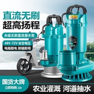 Pump Electric Universal Battery Car Brushless Submersible Pump Pump DC Volt 48V60V72 High Head Large