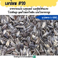 (5KG/10KG) 20 Sunflower Epot Parrot Food Hamster And Rodents