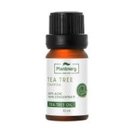 Plantnery น้ำมันทีทรีเข้มข้น Tea Tree Oil Acne Spot 10มล. (371596-680013010)