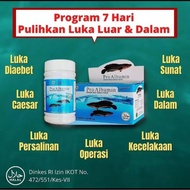 Pro Albumin | Kapsul Ikan Gabus | Kapsul Ikan Kutuk | Albumin | Obat