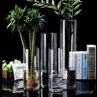 Transparent Straight Glass Vase Living Room DecorationinsWind Decoration Floor Hydroponic Rich Bamboo Large Straight Vas