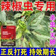 Insektisida Khas untuk Lada Cili: Aphids Cili, Lalat Putih, Rama-rama Borer, Cacing Jantung, Rama-ra