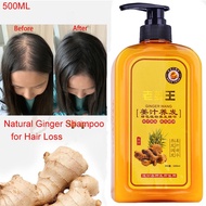 （hot sale）Ginger Hair shampoo ng kabayo pampahaba ng buhok Anti Hair Loss Nourish Hair Fast Growth S
