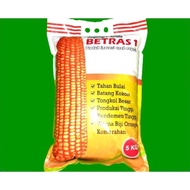 BEST benih jagung hibrida betras kemasan 5kg / BENIH JAGUNG HIBRIDA