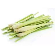 Sereh serai 1kg