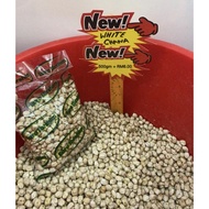 WHITE CHICKPEAS/ WHITE CHANA / KACANG KUDA PUTIH - 500 GRAM