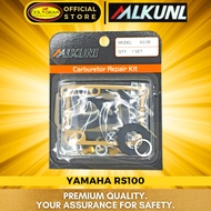 ALKUNL Carburetor Repair Kit for RS100