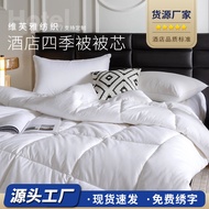 Four Seasons Quilt Core High-End Supply Wholesale Ready Stock Star Hotel Spring Autumn Style Winter 