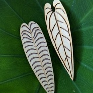 熱植木質冰箱貼 花燭系列