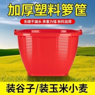 Thickened Rice Basket Fruit Rice Basket Extra Thick Household Grain-Proof Plastic Basket Bamboo Wove