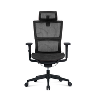 Ergohealth Series Ergonomic Office Chair / Home Office Chair / Study Gaming Chair / Ergonomics / Comfortable