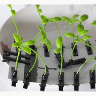 Grass on Head Girlfriends Funny Sell Cute Accessories Broken Hair Top Clip Small Grass Hair Clip Bea