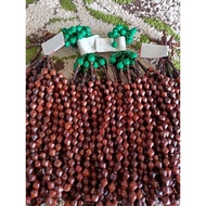 Diamond/aren prayer beads contain 33 8,5mm (ORIGINAL PHOTO/NATURAL)