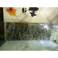 Aquarium sticker Wallpaper / Fish Tank Wallpaper| Root/ Branches | Easy Installation