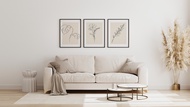 ภาพแต่งห้อง Set 3 ภาพ Beezy Art Shop ( DP092 Neutral Botanical Line Art ) ภาพติดผนัง รูปแต่งห้อง รูป