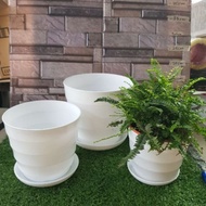 LAYER PLASTIC POT / PASU PLASTIK / WHITE POT WITH SAUCER