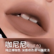 Son Môi Hyntoor Black Rabbit Matte Lip Glaze Nuanced Brown Grey Pink Purple Low Saturation Nude Colo