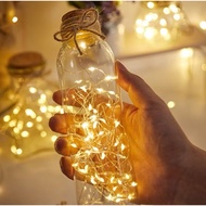 Led Battery Operated Christmas Starry Lights Button Battery Mini Copper Wire LED Fairy String Lights