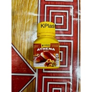 Athena Egg Wash 60 grams / Athena Egg Yolk Substitute 60 grams