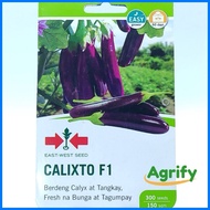 ☫ ๑ ▰ Calixto Seeds Eggplant EastWest 300 seeds