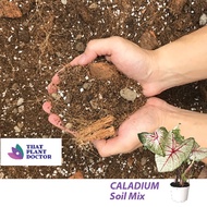 Caladium Soil Mix (4l / 18kg)