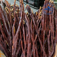 Nấm Linh chi Sừng Hươu rừng Tây Bắc Nấm linh chi sừng hươu thu hái phơi khô tự nhiên dược liệu quý r