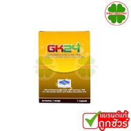 GK24 Dietary Supplement Product Gk 24 (1 Box 4 Capsules)