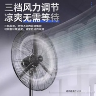Biwangyi Floor Fan Copper Wire Motor Fan 500 Horn Motor 750 Fan Motor Fan Industrial Pure 650 0G8Q