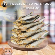 Freeze Dried Fish 1KG Pets Food Shishamo Booster Gemuk Kucing Cat Dog Pet Snack Treat 多春鱼