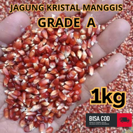 Jagung Kristal Manggis 1kg Pakan Burung Dara Merpati Juara - TERMURAH