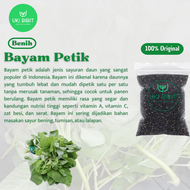 ( 500 Butir ) Benih Biji Bayam Petik | Bayam Kakap | Bayam Daun Lebar