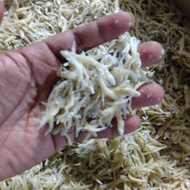 Raw Medan Teri / Rice Teri 100 grams