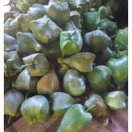 *bitoon mabisang gamot sa bukol/goiter/tumor (1kg)