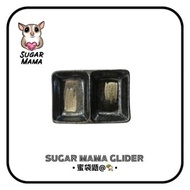 Sugar Glider 2 grid Matte Plate Food